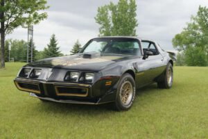 pontiac-trans-am Pontiac Firebirds Trans AM